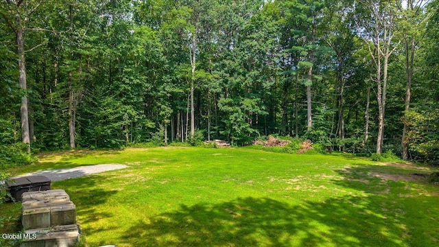 39 Elmore Robinson Rd, Stillwater, NY 12118 - photo 78