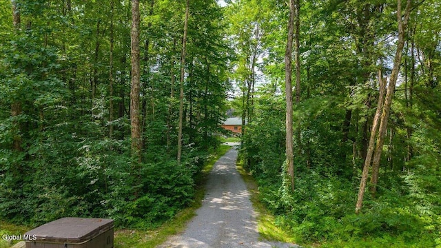 39 Elmore Robinson Rd, Stillwater, NY 12118 - photo 74