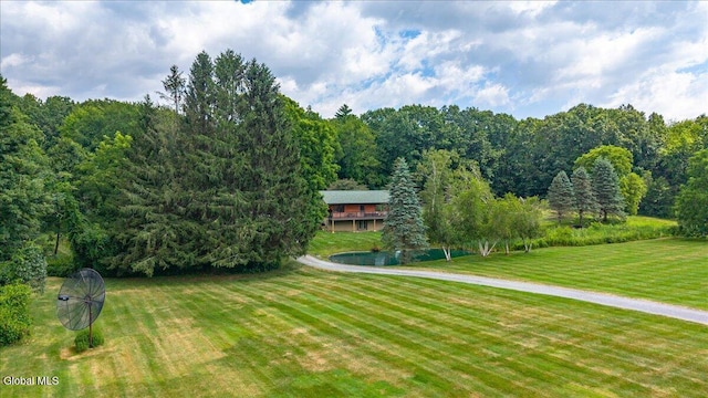 39 Elmore Robinson Rd, Stillwater, NY 12118 - photo 80