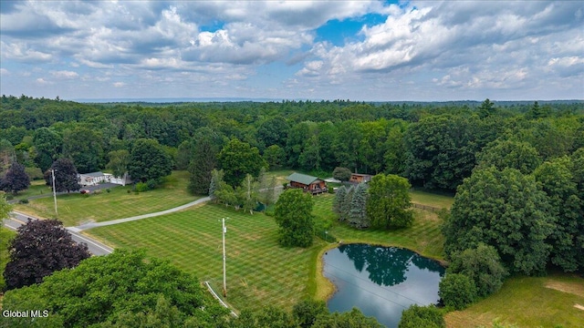 39 Elmore Robinson Rd, Stillwater, NY 12118 - photo 79