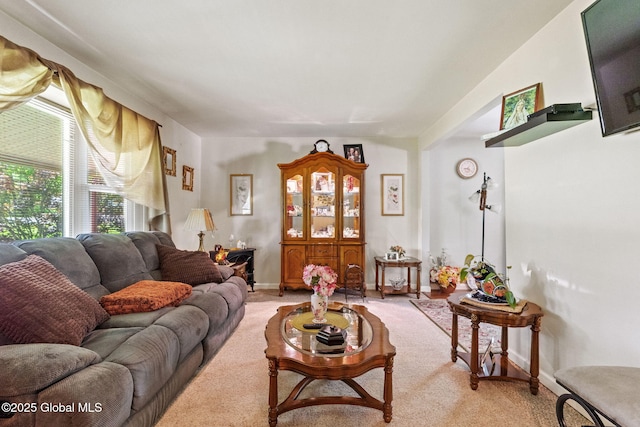 462 Russell Rd, Bethlehem, NY 12203 - photo 6