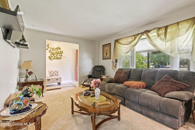 462 Russell Rd, Bethlehem, NY 12203 - photo 8