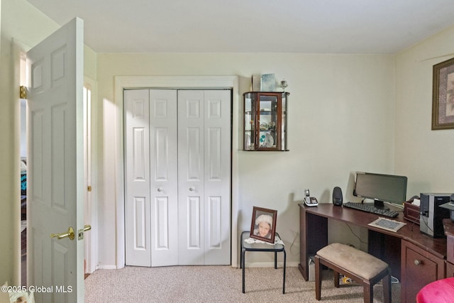 462 Russell Rd, Bethlehem, NY 12203 - photo 19