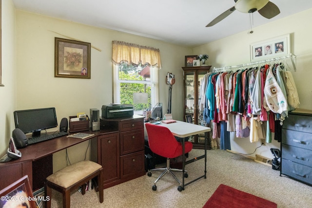 462 Russell Rd, Bethlehem, NY 12203 - photo 20