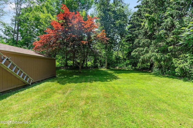 462 Russell Rd, Bethlehem, NY 12203 - photo 33