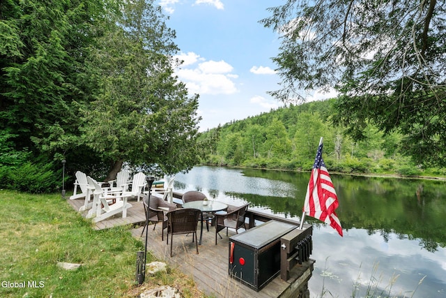 278 Carl Turner Rd, Chester, NY 12817 - photo 4