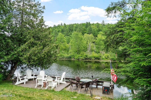 278 Carl Turner Rd, Chester, NY 12817 - photo 6