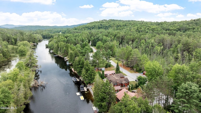 278 Carl Turner Rd, Chester, NY 12817 - photo 43