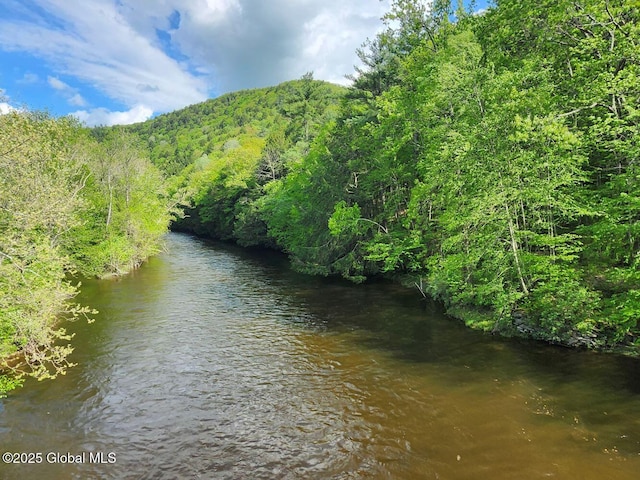 L2 State Route 313, Jackson, NY 12873 - photo 1