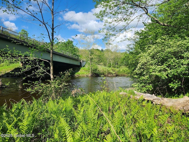 L2 State Route 313, Jackson, NY 12873 - photo 4