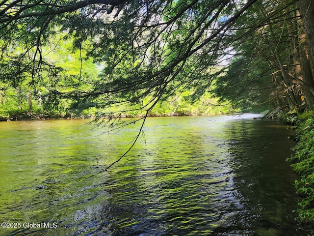 L2 State Route 313, Jackson, NY 12873 - photo 2