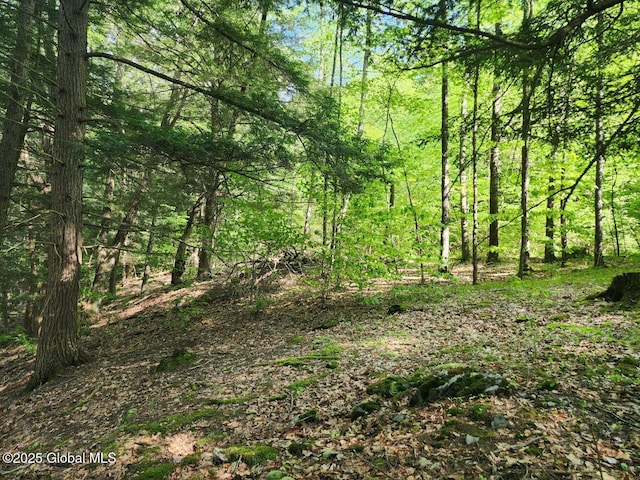 L2 State Route 313, Jackson, NY 12873 - photo 16