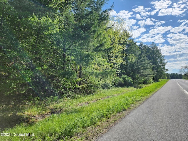 L2 State Route 313, Jackson, NY 12873 - photo 7