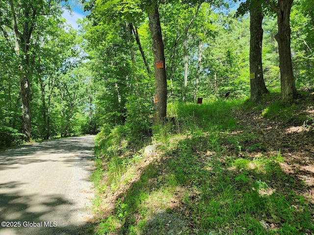 L2 State Route 313, Jackson, NY 12873 - photo 25