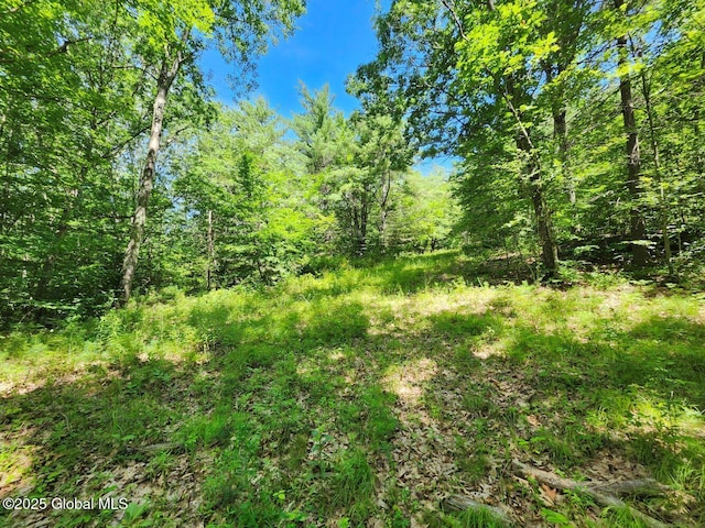 L2 State Route 313, Jackson, NY 12873 - photo 26