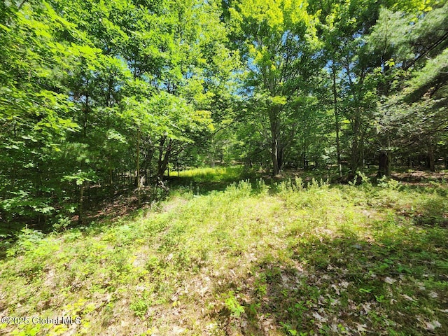 L2 State Route 313, Jackson, NY 12873 - photo 27