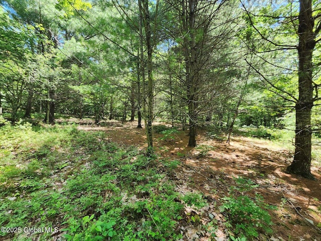 L2 State Route 313, Jackson, NY 12873 - photo 28