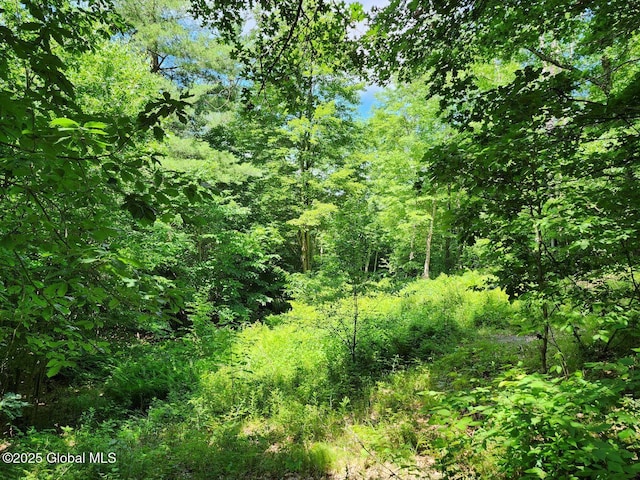 L2 State Route 313, Jackson, NY 12873 - photo 30