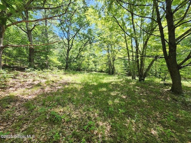 L2 State Route 313, Jackson, NY 12873 - photo 31