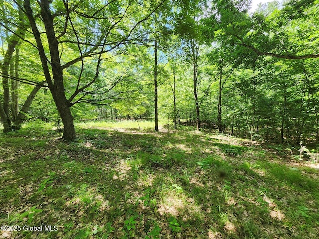 L2 State Route 313, Jackson, NY 12873 - photo 32