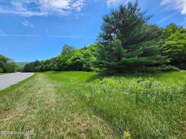 L2 State Route 313, Jackson, NY 12873 - photo 8