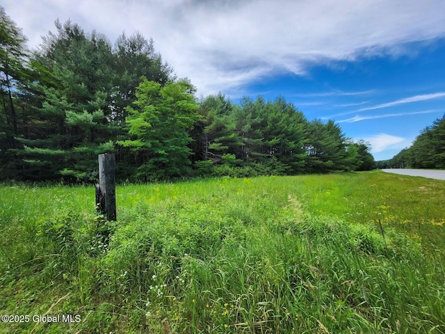 L2 State Route 313, Jackson, NY 12873 - photo 10