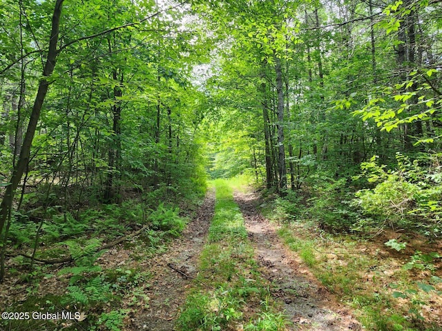 L2 State Route 313, Jackson, NY 12873 - photo 11