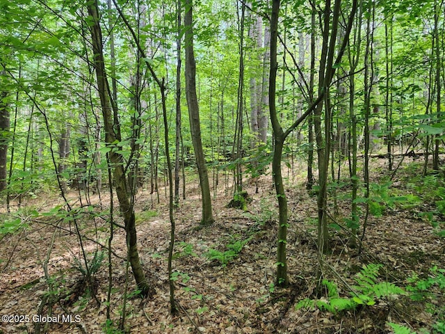 L2 State Route 313, Jackson, NY 12873 - photo 19