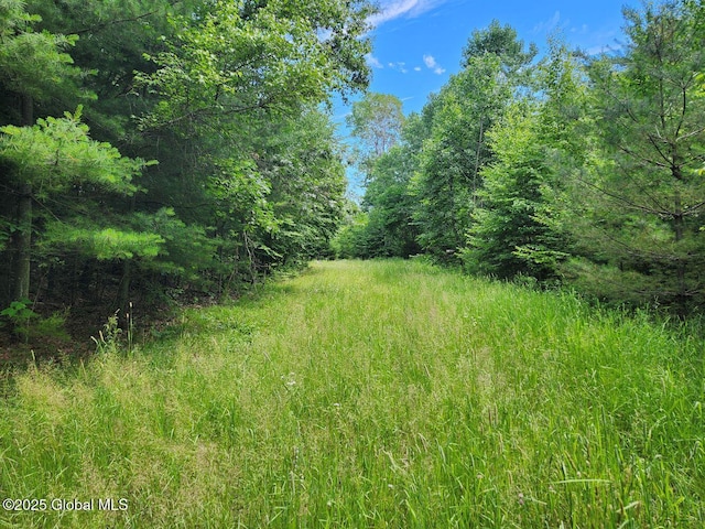 L2 State Route 313, Jackson, NY 12873 - photo 20