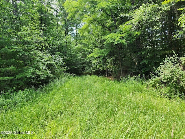 L2 State Route 313, Jackson, NY 12873 - photo 22