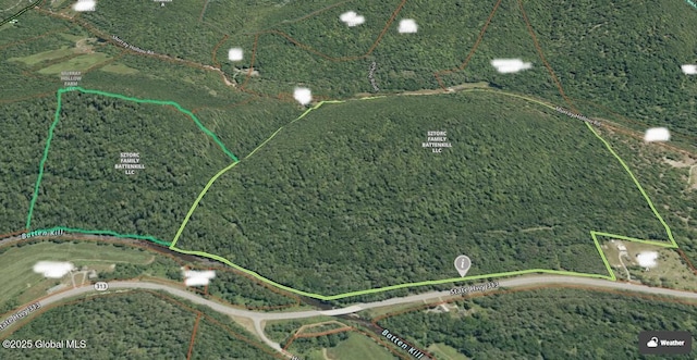 L2 State Route 313, Jackson, NY 12873 - photo 3