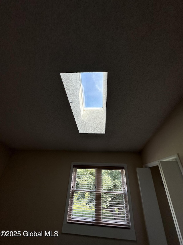 11 Derby Dr, Saratoga Springs, NY 12866 - detailed view of a skylight