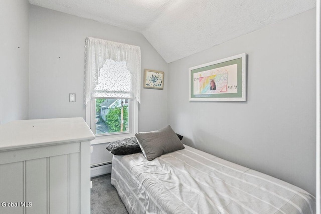 236 Cherry St, Schenectady, NY 12306 - bedroom featuring a textured ceiling, carpet, vaulted ceiling, and baseboard heating