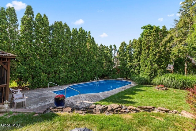 236 Cherry St, Schenectady, NY 12306 - swimming pool with a yard, a diving board, and a patio area