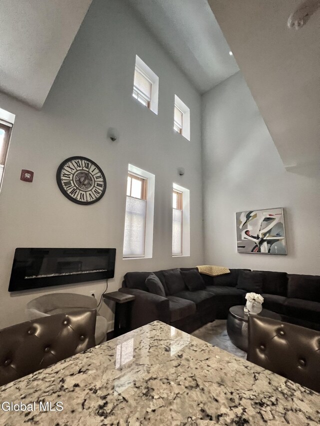 5 Spring St Apt 101, Saratoga Springs, NY 12866 - photo 13