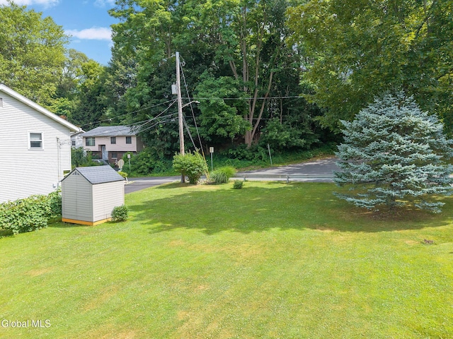 12 Cottage Ave, Albany, NY 12203 - photo 3