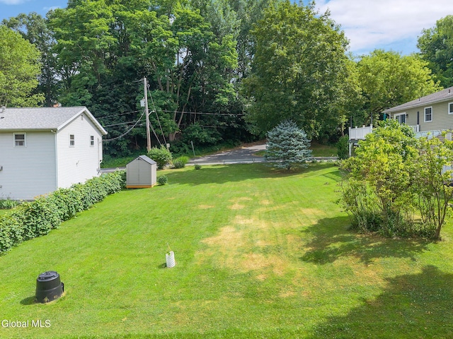 12 Cottage Ave, Albany, NY 12203 - photo 4