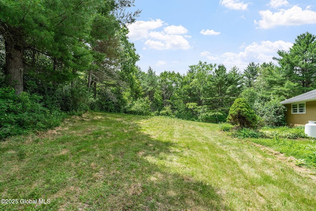 1927 Berne Altamont Rd, Altamont, NY 12009 - view of grassy yard with a forest view