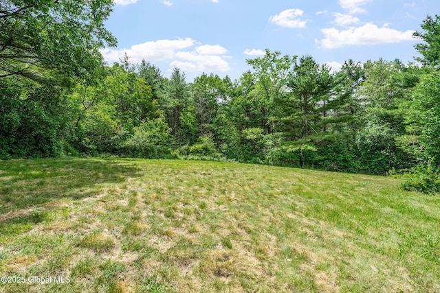 1927 Berne Altamont Rd, Altamont, NY 12009 - view of green lawn with a view of trees