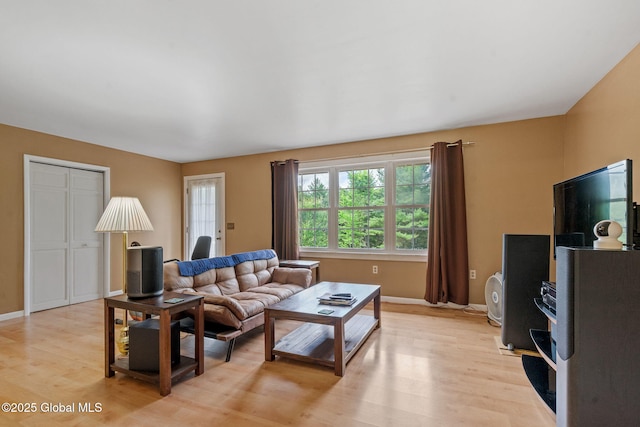 1927 Berne Altamont Rd, Altamont, NY 12009 - living room with light wood finished floors