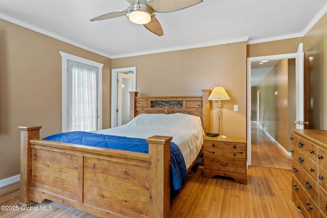 1927 Berne Altamont Rd, Altamont, NY 12009 - bedroom with light wood-style flooring, crown molding, and a ceiling fan