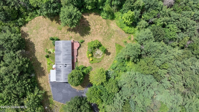 1927 Berne Altamont Rd, Altamont, NY 12009 - aerial view