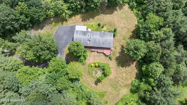 1927 Berne Altamont Rd, Altamont, NY 12009 - view from above of property