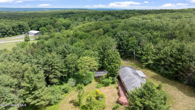 1927 Berne Altamont Rd, Altamont, NY 12009 - aerial view of a heavily wooded area