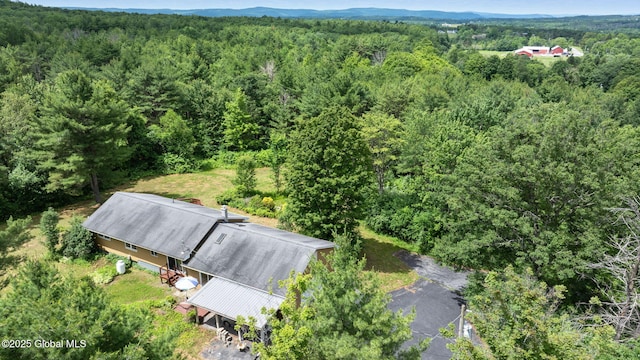 1927 Berne Altamont Rd, Altamont, NY 12009 - view from above of property featuring a forest