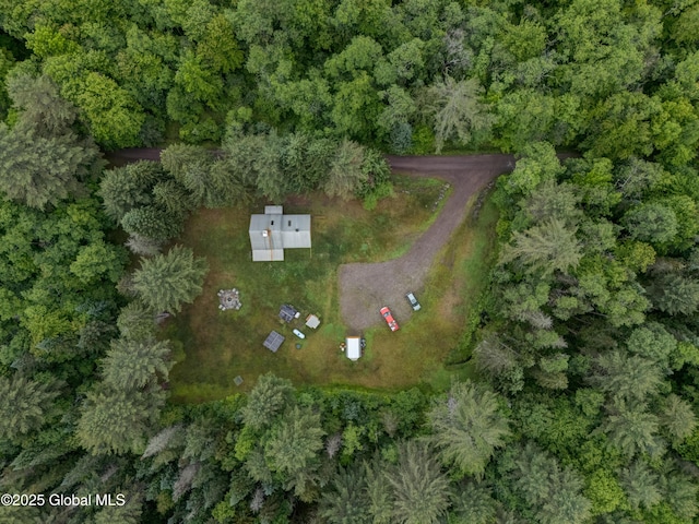 205 Tannery Rd, Bleecker, NY 12078 - photo 14