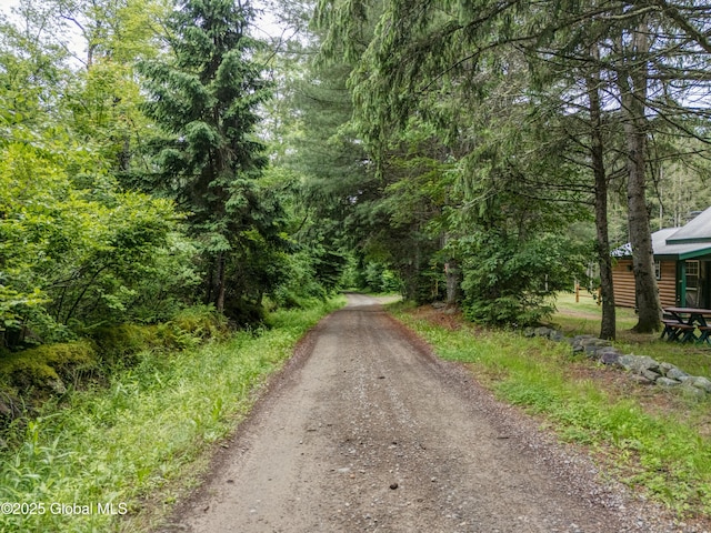 205 Tannery Rd, Bleecker, NY 12078 - photo 12