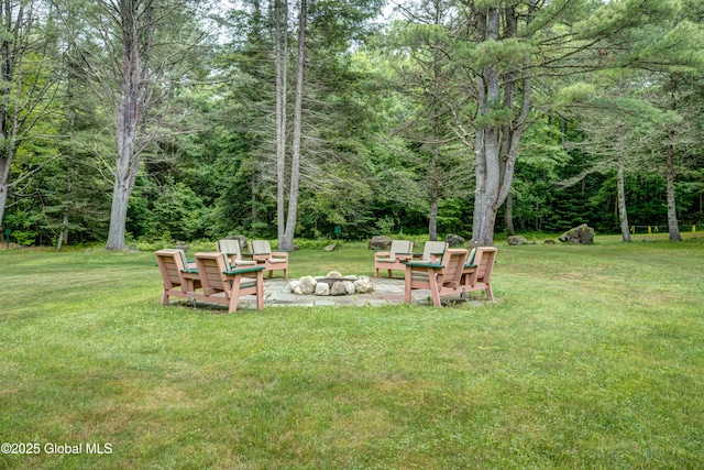 205 Tannery Rd, Bleecker, NY 12078 - photo 41