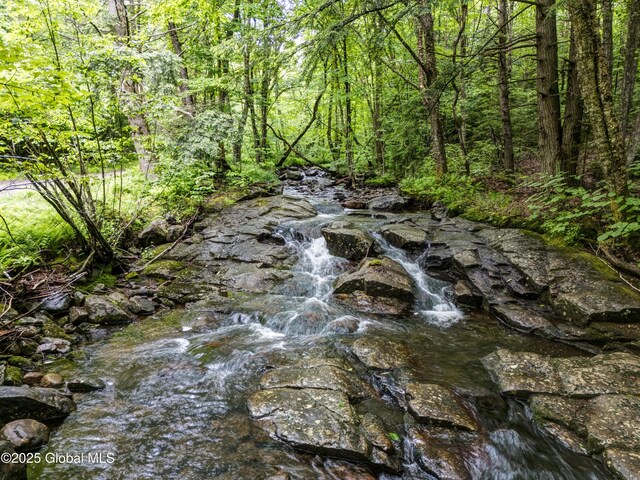 205 Tannery Rd, Bleecker, NY 12078 - photo 43