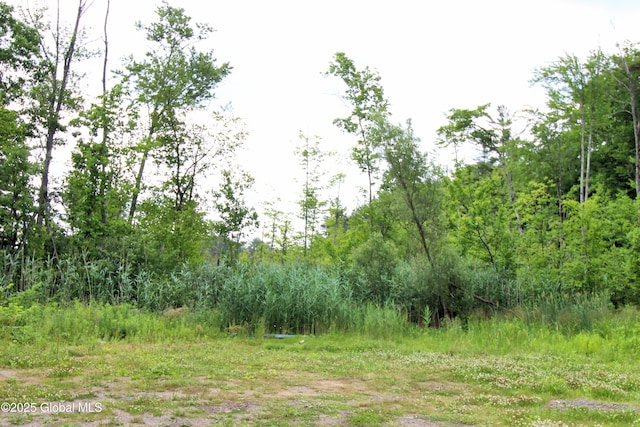 3854 State Highway 30, Mayfield, NY 12010 - photo 13